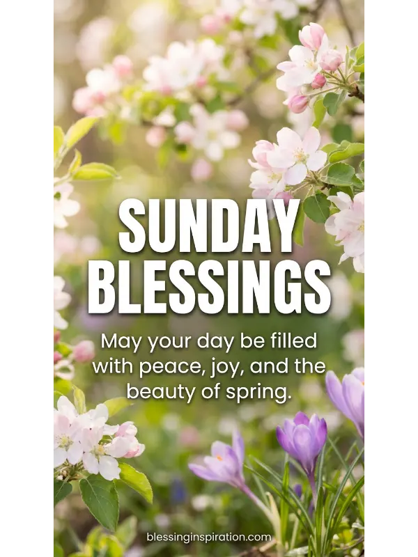 Search for Sunday Blessings Images