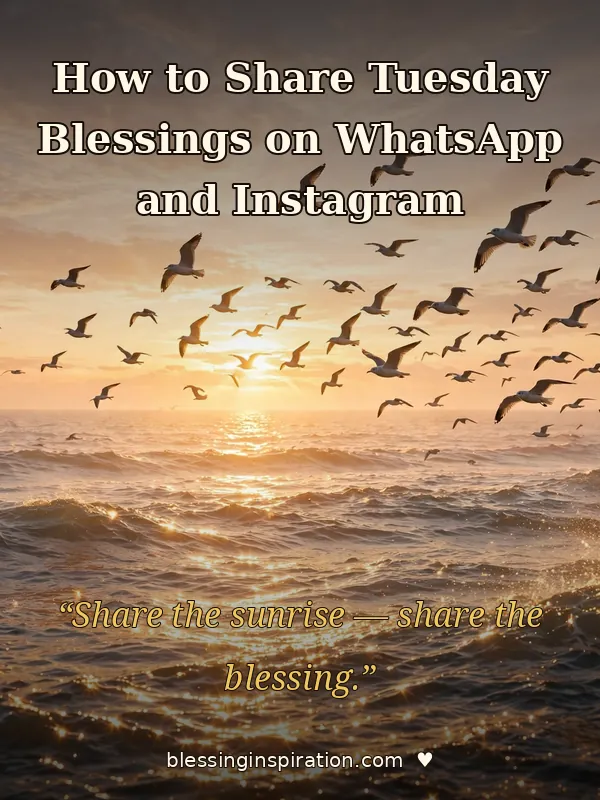 How to Share Tuesday Blessings on WhatsApp and Instagram